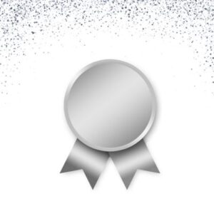 Silver influencers plan